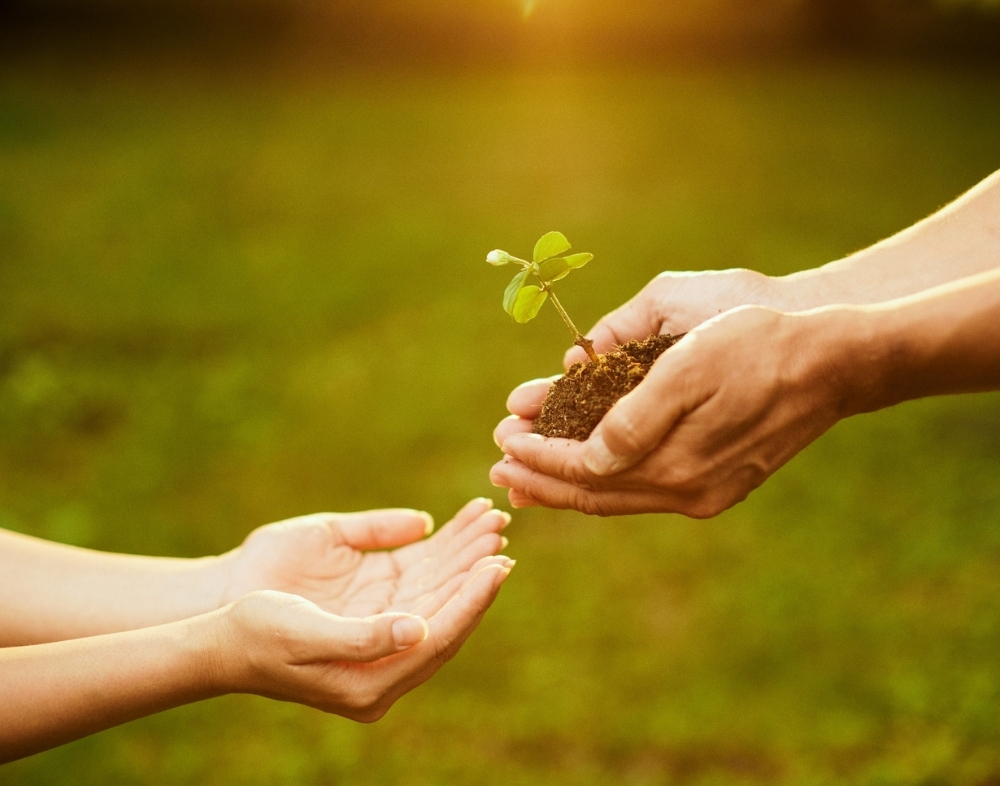 Dijital Dünyada Dengeli Yaşam